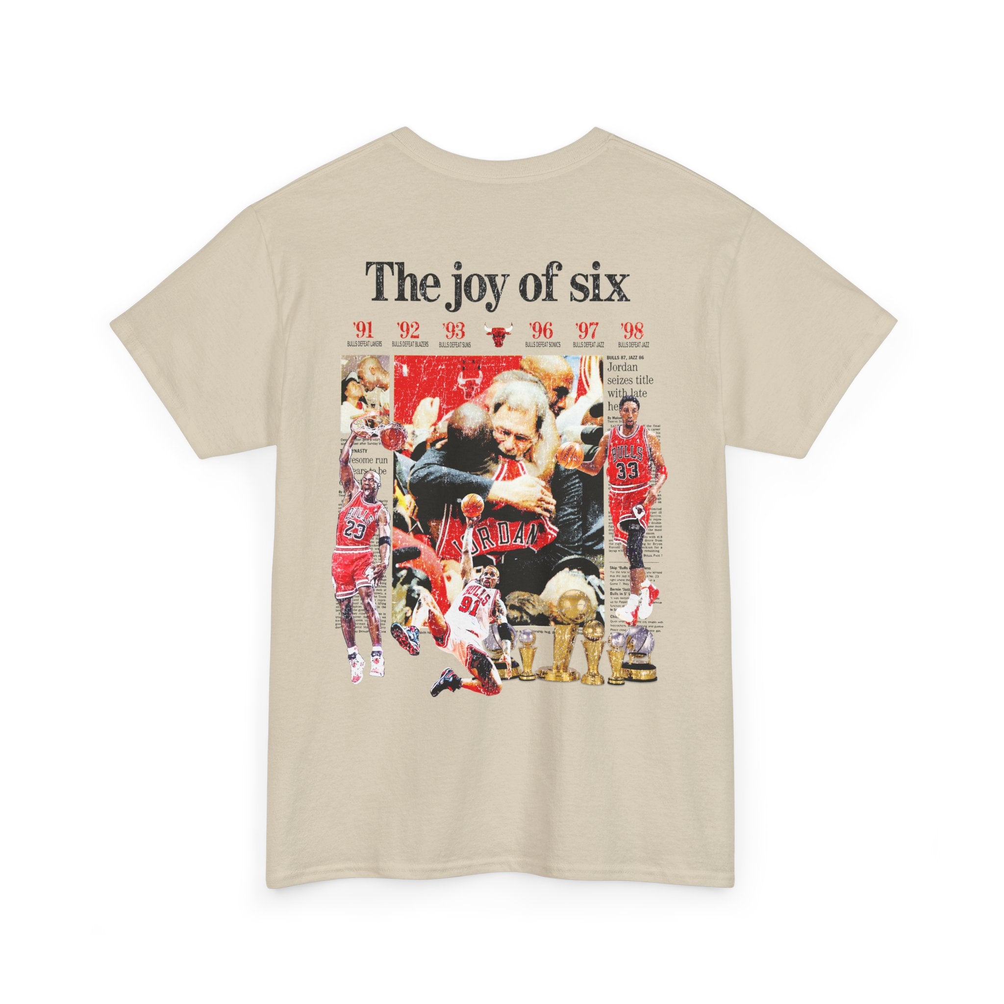 THE JOY OF SIX STANDARD TEE