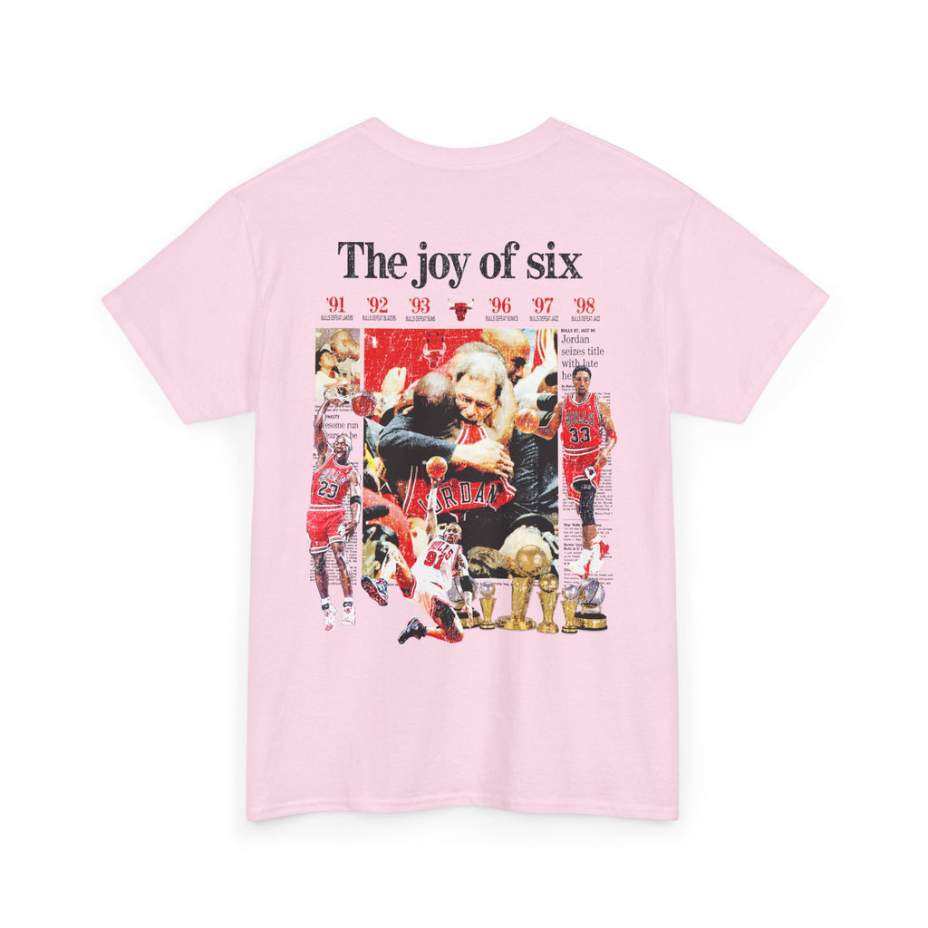 THE JOY OF SIX STANDARD TEE