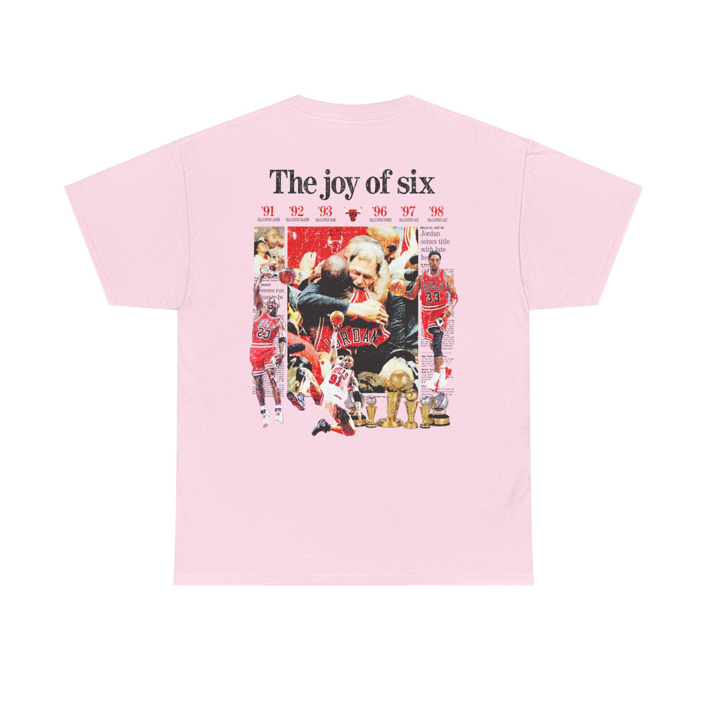 THE JOY OF SIX STANDARD TEE